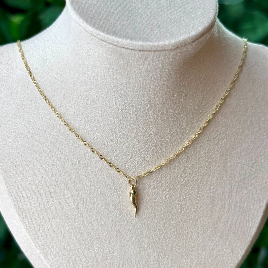 10k Italian Horn Necklace